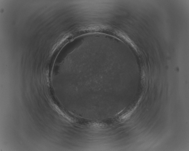 X0000071360585200606231201