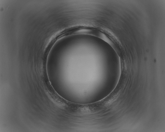 X0000071360588200606231201