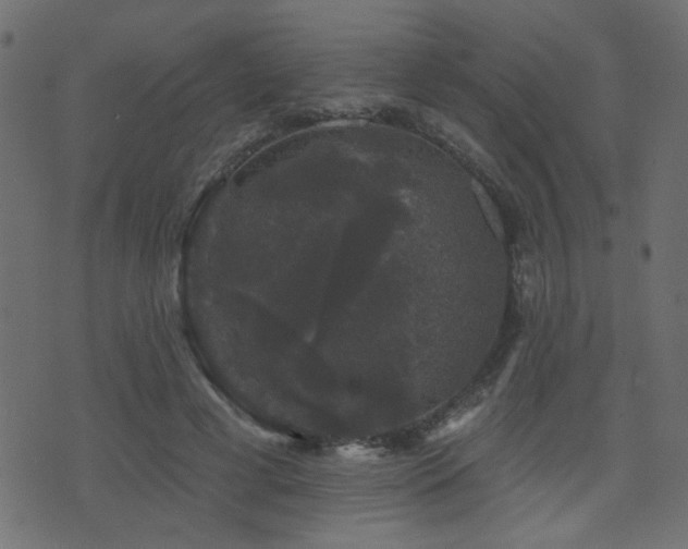 X0000071360593200606231201
