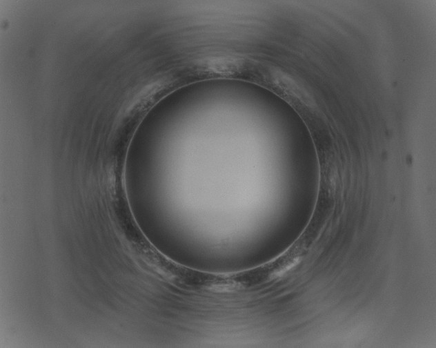 X0000071360595200606231201