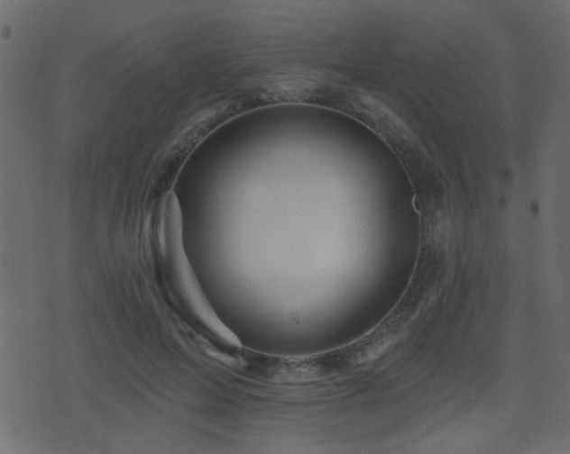 X0000071360599200606231201