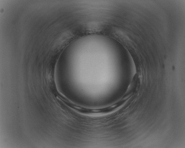 X0000071360608200606231201