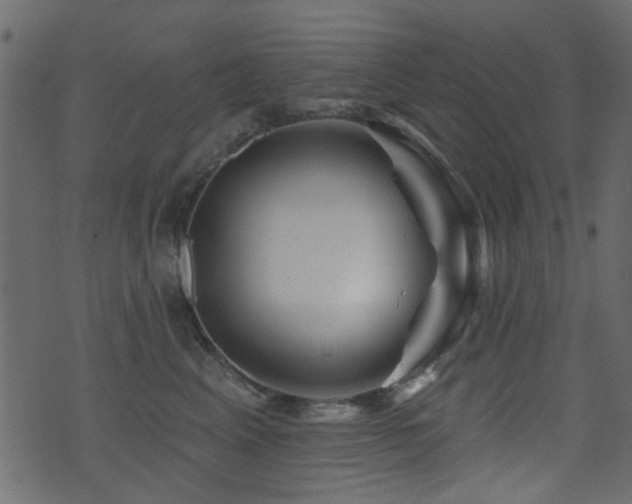 X0000071360617200606231201