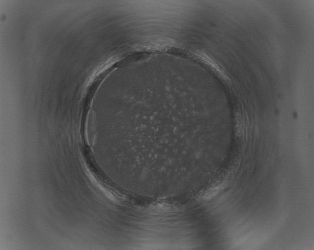 X0000071360634200606231200
