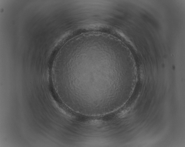 X0000071360637200606231200