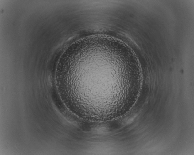 X0000071360643200606231200