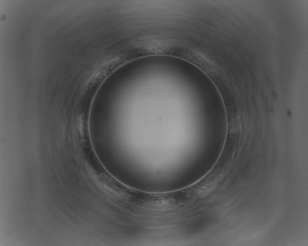 X0000071360646200606231200