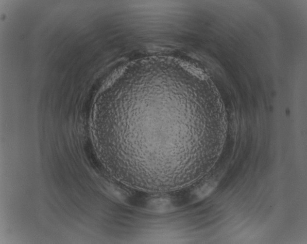 X0000071360653200606231200