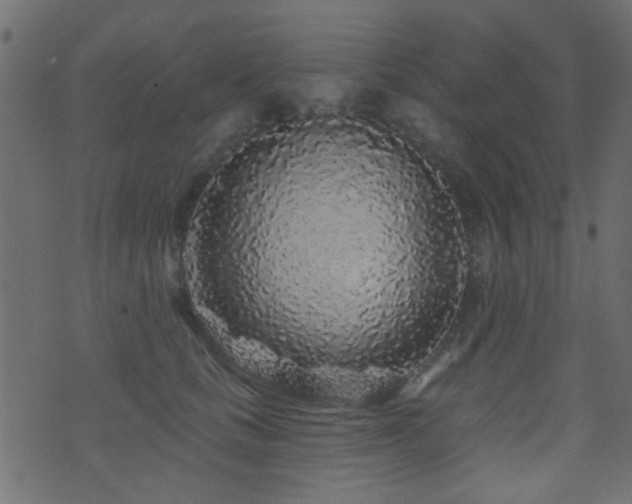 X0000071360661200606231200