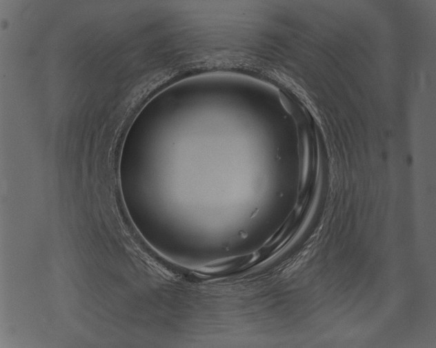 X0000071360673200606231200