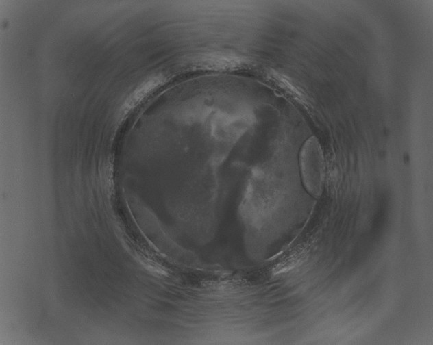X0000071360679200606231200