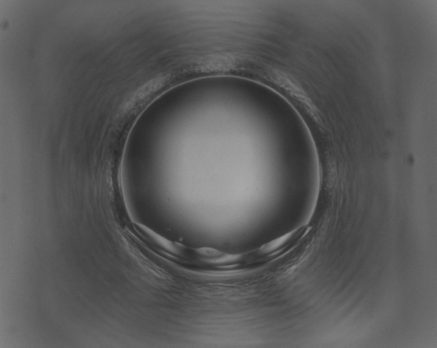 X0000071360681200606231200