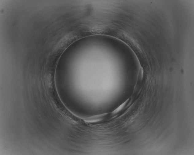 X0000071360689200606231159