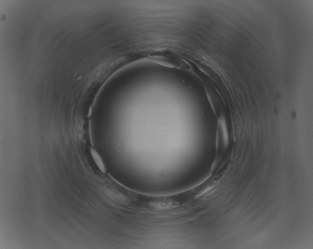 X0000071360693200606231159
