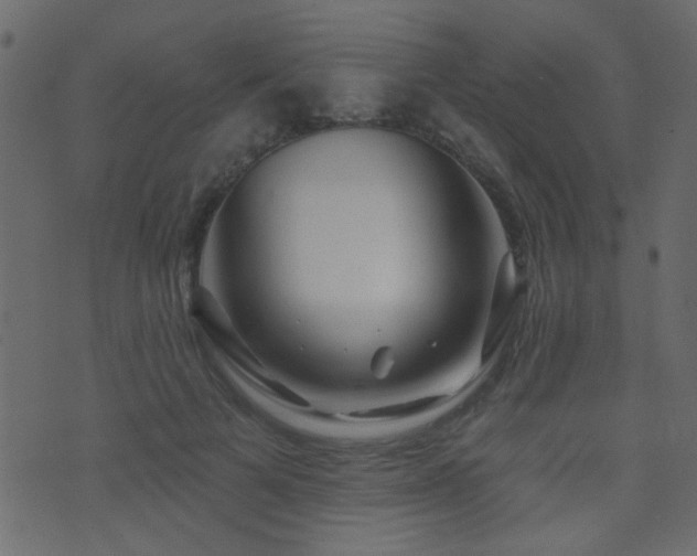 X0000071360697200606231159