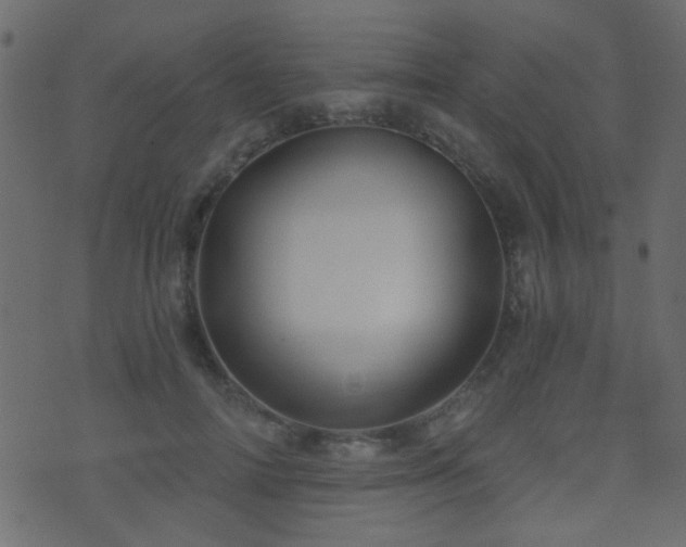 X0000071360698200606231159