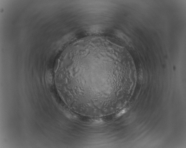 X0000071360715200606231159