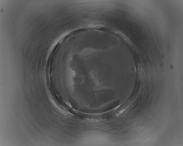 X0000071360726200606231158