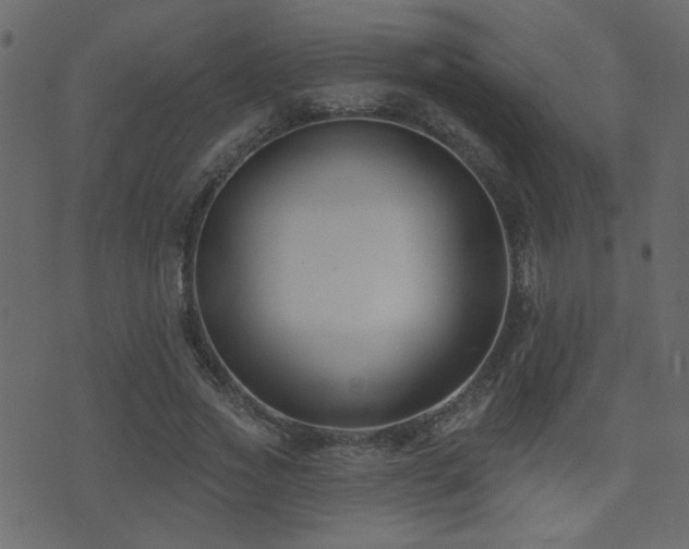 X0000071360733200606231158
