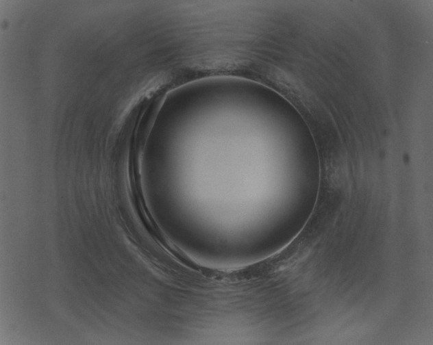 X0000071360735200606231158