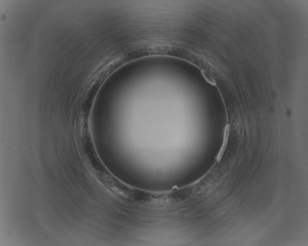 X0000071360744200606231159