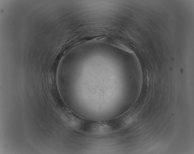 X0000071360747200606231159