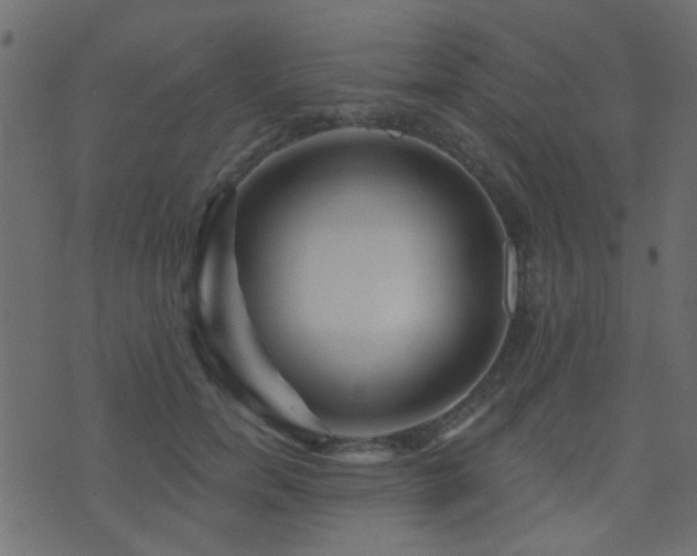X0000071360750200606231159