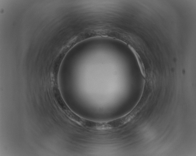 X0000071360752200606231159