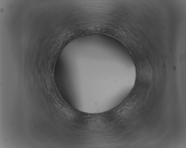 X0000071360769200606231158