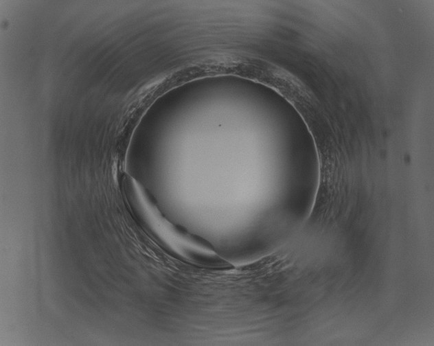 X0000071360773200606231158