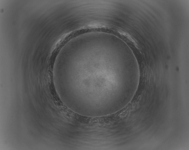 X0000071360776200606231158