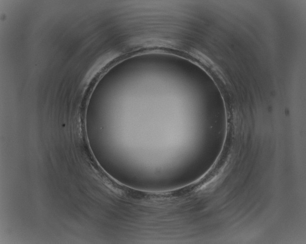 X0000071360782200606231158