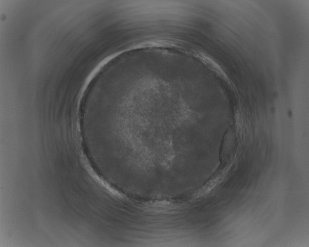 X0000071360784200606231158