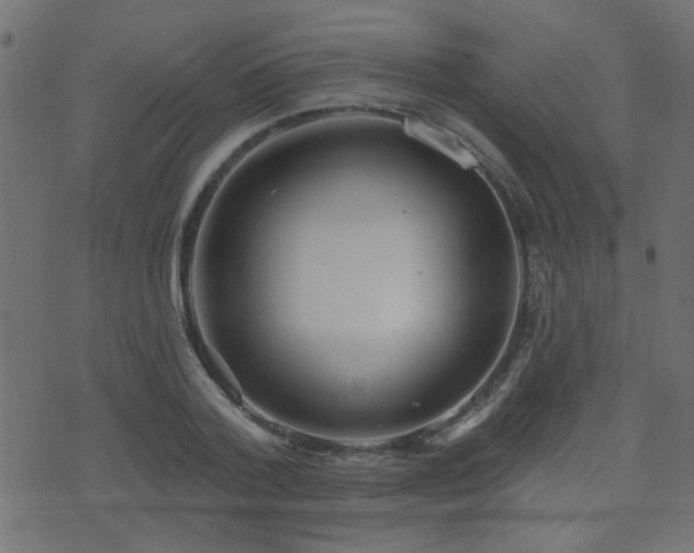 X0000071360788200606231158