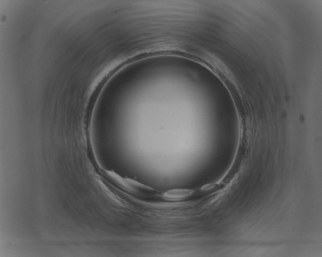 X0000071360789200606231158
