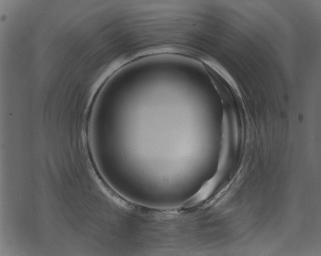 X0000071360813200606231157