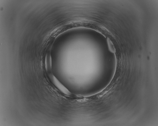 X0000071360822200606231157