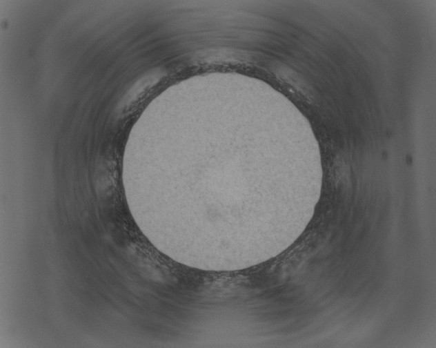 X0000071360824200606231157