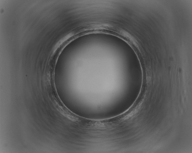 X0000071360827200606231157