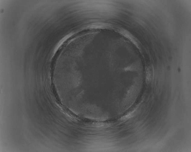 X0000071360829200606231157