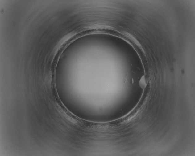 X0000071360831200606231157