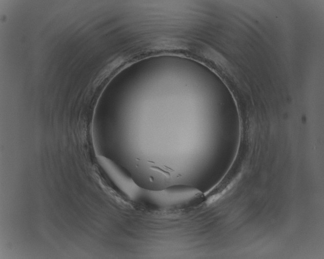 X0000071360833200606231157