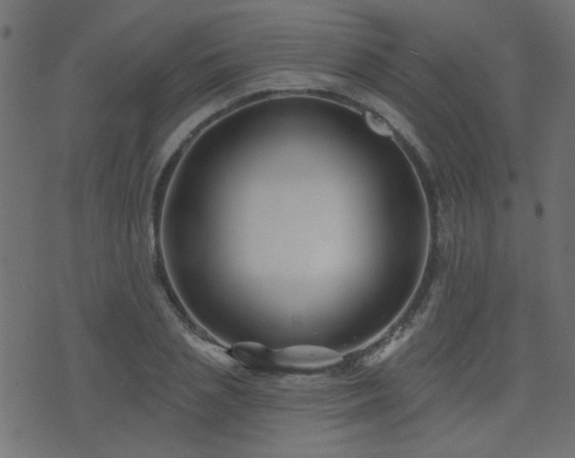 X0000071360837200606231157