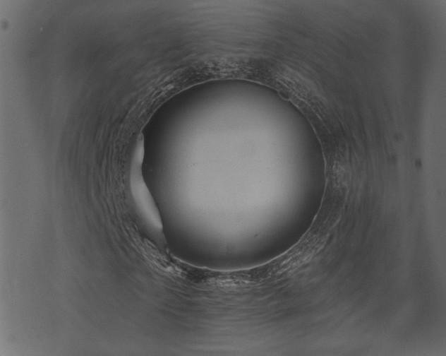 X0000071360865200606231157