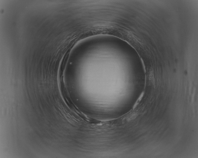 X0000071360868200606231156