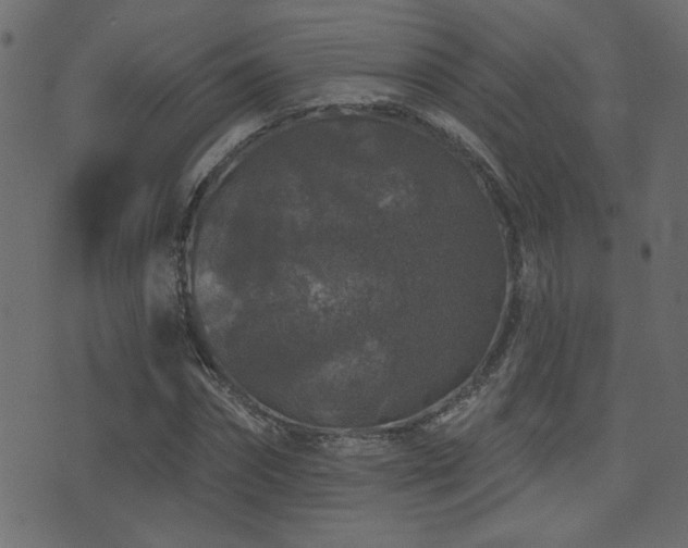 X0000071360874200606231156