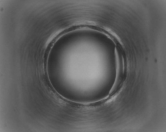 X0000071360877200606231156