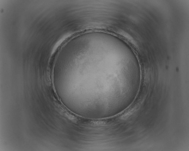 X0000071360878200606231156