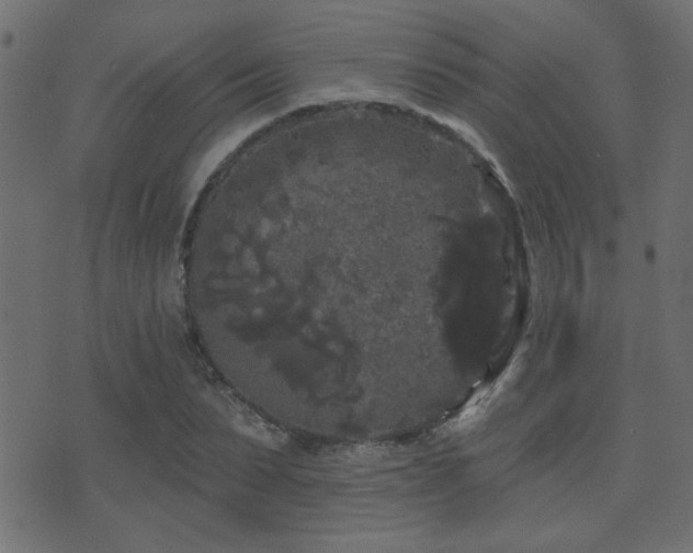 X0000071360879200606231156