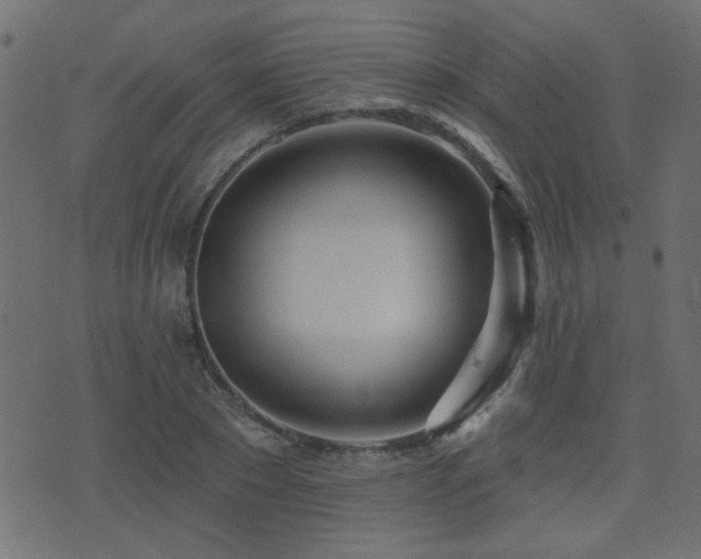 X0000071360881200606231156